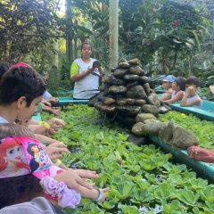 2023-natureza-inteligente-pioxi-289