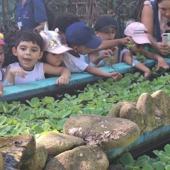 2023-natureza-inteligente-pioxi-33