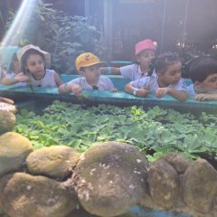 2023-natureza-inteligente-pioxi-36