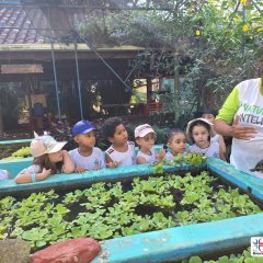 2023-natureza-inteligente-pioxi-40