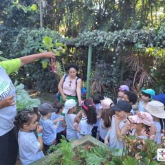 2023-natureza-inteligente-pioxi-81