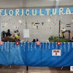 2025-emprovi-empreendedorismo-instituto-pioxi-4