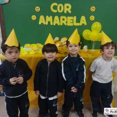 2026-maternal-instituto-pioxi-ramos-rj-1