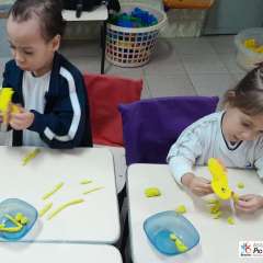 2026-maternal-instituto-pioxi-ramos-rj-12