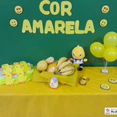 2026-maternal-instituto-pioxi-ramos-rj-3
