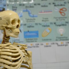 Laboratório de Ciências da Natureza