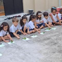 2024-jardim-sensorial-pioxi-4