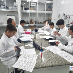 2024-lab-ef7-pioxi-1