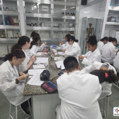 2024-lab-ef7-pioxi-11