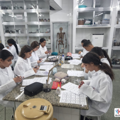 2024-lab-ef7-pioxi-2