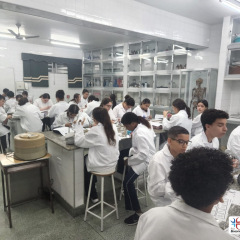2024-lab-ef7-pioxi-6