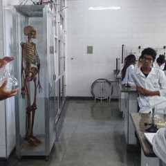 pioxi-redebeneditina-4