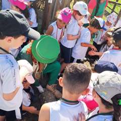 2025-ed-infantil-passeio-instituto-pioxi-ramos-47
