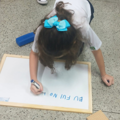 2024-ef2-revisao-pioxi-1