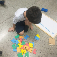 2024-ef2-revisao-pioxi-5