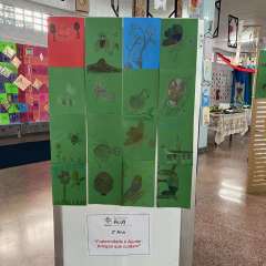 2025-mostra-artes-instituto-pioxi-ramos-10