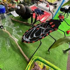 2025-mostra-artes-instituto-pioxi-ramos-22