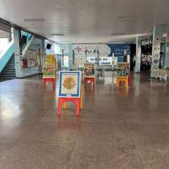 2025-mostra-artes-instituto-pioxi-ramos-7