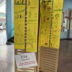 2025-mostra-artes-instituto-pioxi-ramos-8