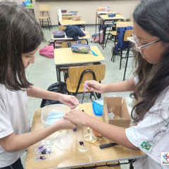 2024-ensino-fundamental-6ano-lab-pioxi-1