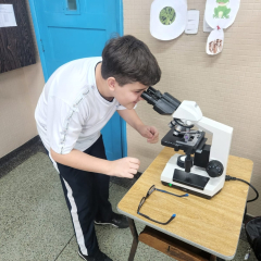 2024-ensino-fundamental-6ano-lab-pioxi-4
