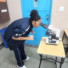 2024-ensino-fundamental-6ano-lab-pioxi-5
