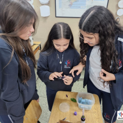 2024-ensino-fundamental-6ano-lab-pioxi-6