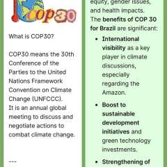 2025-cop30-ef8-instituto-pioxi-ramos-2