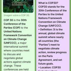 2025-cop30-ef8-instituto-pioxi-ramos-4