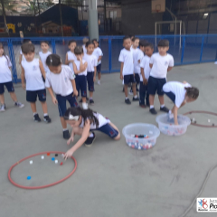 2024-pre2-pioxi-4