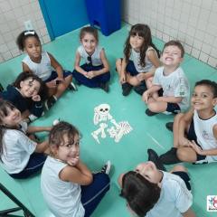 2025-pre2-ossos-instituto-piox-i-2