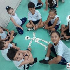 2025-pre2-ossos-instituto-piox-i-6