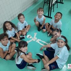 2025-pre2-ossos-instituto-piox-i-7