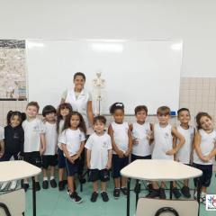 2025-pre2-ossos-instituto-piox-i-8