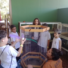 2024-passeio-ens-fund-4-pioxi-101