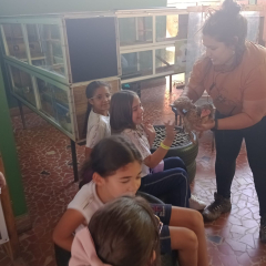 2024-passeio-ens-fund-4-pioxi-104