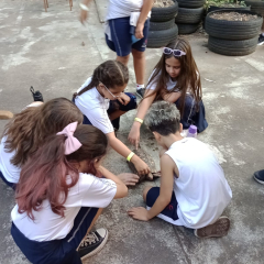2024-passeio-ens-fund-4-pioxi-11