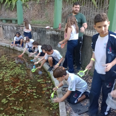 2024-passeio-ens-fund-4-pioxi-117
