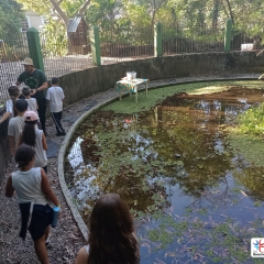 2024-passeio-ens-fund-4-pioxi-121