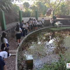 2024-passeio-ens-fund-4-pioxi-122