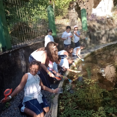 2024-passeio-ens-fund-4-pioxi-126
