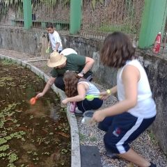 2024-passeio-ens-fund-4-pioxi-131