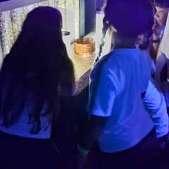 2024-passeio-ens-fund-4-pioxi-142