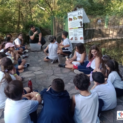 2024-passeio-ens-fund-4-pioxi-33