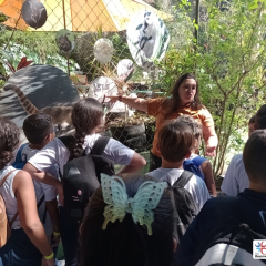 2024-passeio-ens-fund-4-pioxi-46