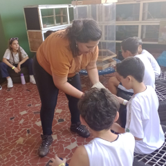 2024-passeio-ens-fund-4-pioxi-79