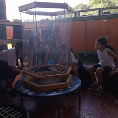 2024-passeio-ens-fund-4-pioxi-93