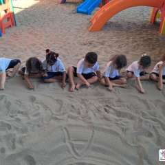 2026-pre1-instituto-pioxi-ramos-rj-6