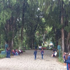 2023-petropolis-em-pioxi-4