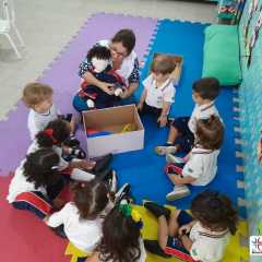 jun2023-pioxi-plantacao1